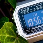 Casio W-217H Digital Watch Review